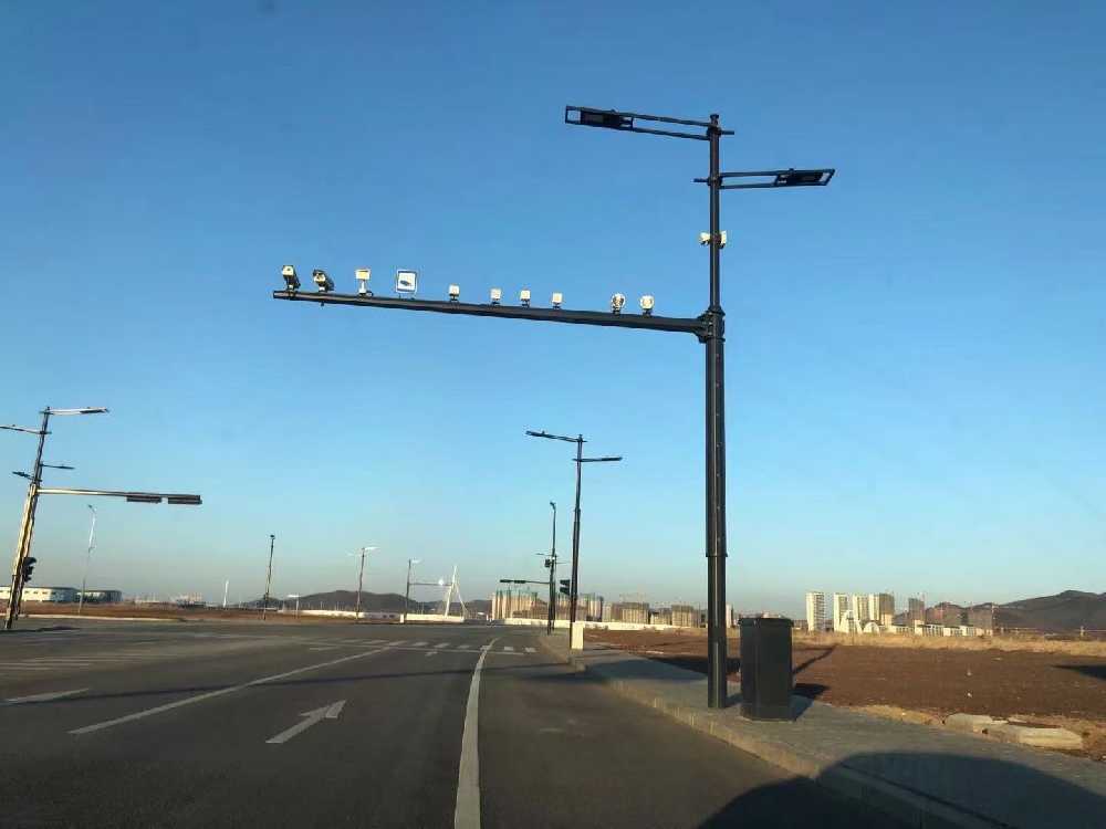海宁市黑龙江佳木斯综合路灯杆项目